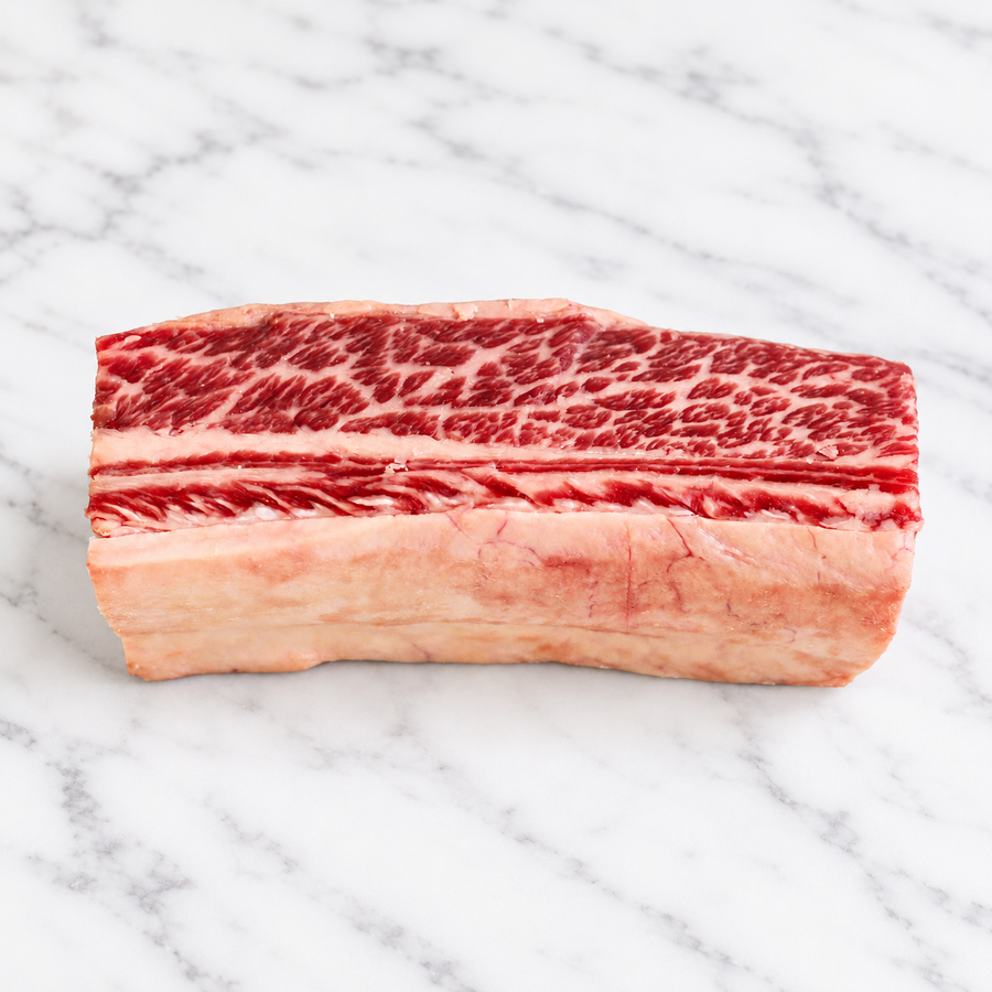 USDA Prime Beef Short Rib Single Bone